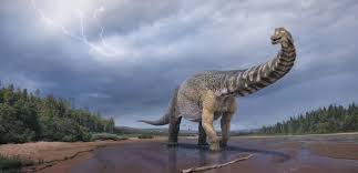 Red dead redemption 2 dinosaur bones locations. Xdey Zkfwref M