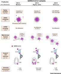 Image result for Drug-Induced Olfactory Dysfunction