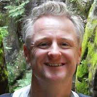 PDF) Pigment pattern formation in the medaka embryo