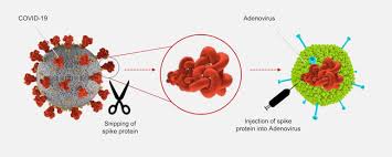 Use of the johnson & johnson (j&j) vaccine has resumed after a pause recommended by the fda and cdc in order to study reports of severe blood clots. A Che Punto E Il Vaccino Di Johnson Johnson Il Post
