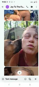 need help training energetic black mouth cur in Georgia