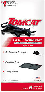 Looking for the best mole traps to protect your backyard and garden? Amazon Com Tomcat Glue Traps Mouse Size With Eugenol For Enhanced Stickiness Captures Mice And Other Household Pests Professional Strength Pesticide Free And Ready To Use 6 Glue Traps Garden Outdoor