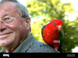 Polly parrot hi-res stock photography and images