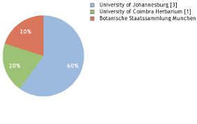 Image result for Monodora stenopetala