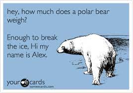 An ice breaker should be used after an energizer. Hey How Much Does A Polar Bear Weigh Enough To Break The Ice Hi My Name Is Alex Flirting Ecard