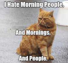 Top 25 Memes Of The Week Cheezburger Users Edition 172 Cute Animal Memes Funny Disney Jokes Funny Short Videos