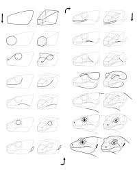 Sketchbook Original How To Draw Lizards Monika Zagrobelna Hand drawn cute funny unicorn with llama and cat taking selfie together, vector, illustration. how to draw lizards