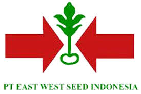 The site owner hides the web page description. Ewindo Gandeng Super Indo Perluas Pasokan