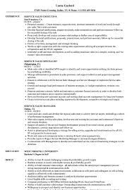 Naija 2010 top jobs _ quick & easy way to apply see the sample cv on the next page of this document. Service Sales Resume Samples Velvet Jobs
