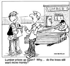 Lumber Joke Lumber Cool Roof Remodeling Advice
