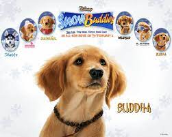 I have no nostalgia for air bud. Watch Streaming Hd Snow Buddies Starring James Belushi Jimmy Bennett Lothaire Bluteau Jason Bryden In This Spin Of Air Buddies Movies Buddy Air Bud Movies