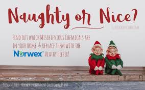 Norwex Winter Banners In 2020 Norwex Norwex Party Holiday Banner