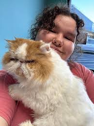 Abbey's Waggin' Tails