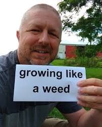 READ ALONG TO PRACTICE YOUR ENGLISH: Sometimes in your lawn you have these  kind of plants which are called weeds. Weeds are things that grow where you  don't want them to. But we have a phrase in ...