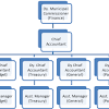 Preparing accounting and other required reports and projections based on the analysis performed. 1