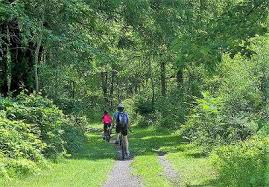 For many, the bustling college city of ithaca is the gateway to the region. The Official Blog Of Discover Upstate Ny Com