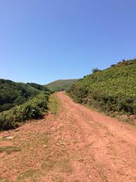 Pyrenees Atlantiques Rando Vtt Hartzamendi Depuis Bidarray Randonnee Vtt Rando Vtt Randonnee