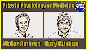      नक्सली समस्या संहारक जीजी पति जीजा जी बी के यादव जी की स्प्लेंडर बाइक के साईंलेंसर से उड़ती स्वादिष्ट टट्टी       पुरस्कार 2024 विजेताओं की सूची पीडीएफ, नाम, क्षेत्र, पुरस्कार राशि,  पूर्ण विवरण