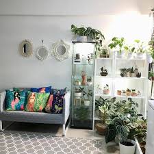 ikeagreenhousecabinet on instagram mamatotrax cabinet detolf use ikeagreenhousecabinet or tag to be fe ikea detolf green decor house plants indoor