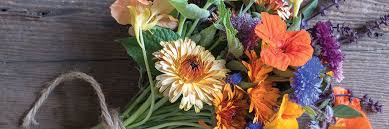 Shop an incredible selection of heirloom and organic flowers, including sunflowers and prairie flowers and grasses, as well as annuals and perennials. Edible Flower Seeds Johnny S Selected Seeds