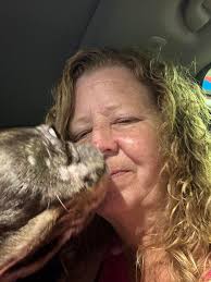 Adoptable bulldog loves kids and cuddling