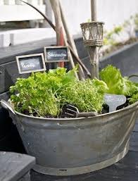 Spaaz De Entdecke Sammel Teile In 2020 Garten Hochbeet Krauterbeet Garten