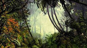 Wallpaper Palm Trees Trees Jungle Fog Wallpaper Palm Trees Jungle