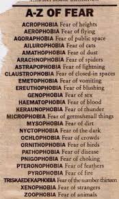 Phobias Xenophobia Definition Is A Bit Simplistic Yes Strangers But Also More Towards The Fear Of Foreig Learn English Words English Words Knowledge Quotes