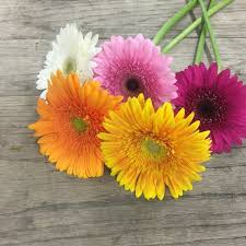 Built on traditional and innovative designs. Austin Flower Marketaustin Flower Market