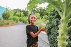 Celebrate the Season at “Merry at the Museum”