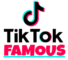 Get Free Tik Tok Fans Followers Up To 30 000 Free Followers Free Followers Free Followers On Instagram How To Get Followers