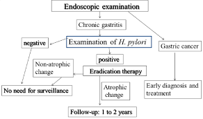 This is because if they're caused by cancer, finding it early makes it more treatable. 2 1 Strategy To Eliminate Gastric Cancer In Japan Endoscopy Must Be Download Scientific Diagram