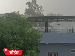 भोपाल में आंधी-बारिश से 80 पेड़ गिरे, ट्रैफिक जाम: MP के 45 जिलों में आज भी अलर्ट; 60KM की रफ्तार से चलेगी आ...