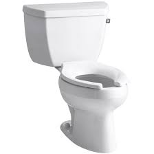 Many compare it to the toto washlets. Kohler Wellworth 1 6 Gpf Elongated Two Piece Toilet Seat Not Included Wayfair