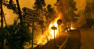 Enjoy comfort and personal care on your journey. Tormenta Ignea Asi Es El Fenomeno Que Ha Causado La Muerte De 60 Personas En Un Incendio Portugues
