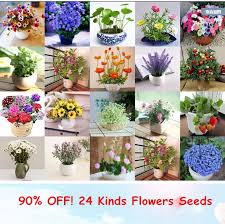 Flower all flower all all kinds kinds flower kinds flowers nature background spring flora bloom macro beautiful decoration season white plant garden plants pink purple love fresh ornament yellow blossom colorful red green color summer romantic gift holland tulip keukenhof tulips netherlands day petal. Kinds Different Flower Plant Bonsai Seedss Indoor Katonia House