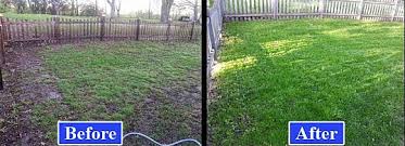 When and how to aerate your lawn. Overseeding Your Lawn Diy Aeratorman Com