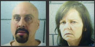 Son used three knives in death of mother in Carlisle, police say