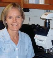 Whither Organic?The demands of a burgeoning organic industry Also in this  issue: Rare matter, master craftsmen and The brave n