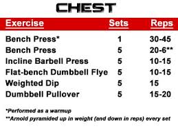 articles the ultimate arnold training guide chest