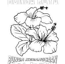 Email paras 4 bangunan pusanika universiti kebangsaan malaysia 43600 bandar baru bangi selangor darul ehsan. 26 Lukisan Bunga Raya Bunga Kebangsaan Koleksi Bunga Hd