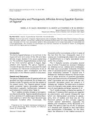 Image result for Fagonia isotricha