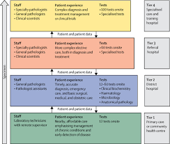 Clinical protocol in obstetrics gynaecology for malaysian hospitals shopee malaysia. Improving Pathology And Laboratory Medicine In Low Income And Middle Income Countries Roadmap To Solutions Sciencedirect