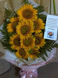 Bunga matahari atau biasa disebut sunflower tidak hanya memiliki bentuk mirip dengan matahari, tetapi pertumbuhannya juga sangat bergantung pada intensitas sinar matahari. Ngelabah052 Bunga Matahari Scientific Name Gambar Gratis Musim Panas Daun Taman Bunga Flora Sungkupan Bunga Matahari 5 Tan Ha Dan Timun 15 Tan Ha Menyebabkan Penurunan Kepada Lima Jenis Species Rumpai