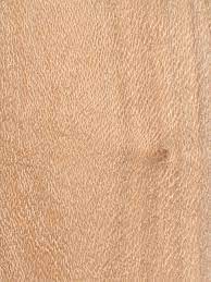 We did not find results for: Southern Silky Oak The Wood Database Lumber Identification Hardwood