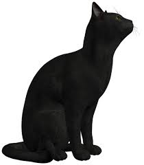 Black Cat Png Black Cat Painting Black Cat Cats