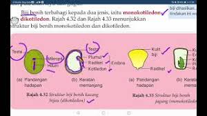 Struktur kawalan pilihan dan kawalan gelung. Tingkatan 1 Halaman 5 Arviaclass Online Learning Malaysia