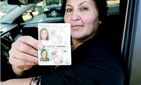 Consejos para Sacar la Licencia de Conducir para Indocumentados en California | la prensa hispana newspaper