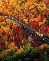 Ben Skaar (@benskaar) • Threads, Say more