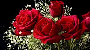 Find & download free graphic resources for rose. Rose Flower Wallpapers Top Free Rose Flower Backgrounds Wallpaperaccess